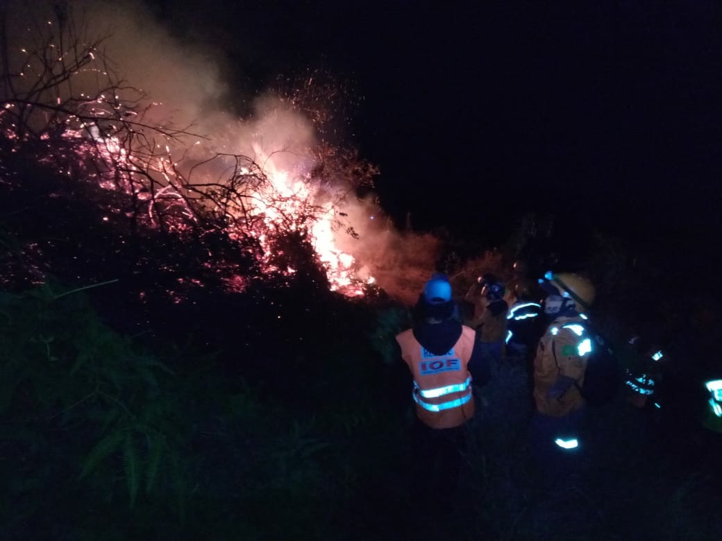 Lega Kebakaran Lereng Gunung Sumbing Wonosobo Berhasil Padam GenPI Co